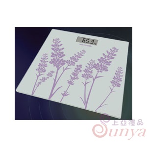 DB5678-2玻璃電子體重秤