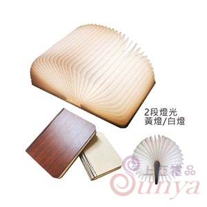 22V-9037J LED木質書燈