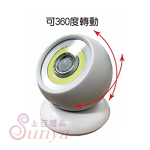 25V-9041 (LED)感應燈