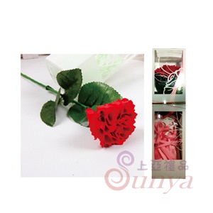 X007香皂花