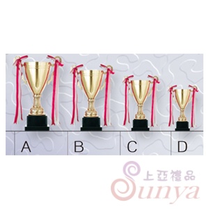 22Y-211 獎盃A