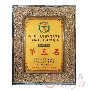 NT004金鑽獎牌