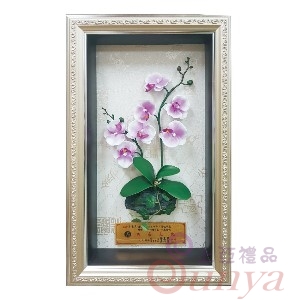 SAF001蘭花1
