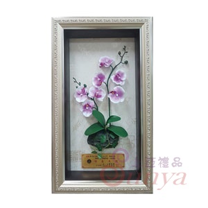SAF001蘭花1