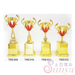 TWZ-010