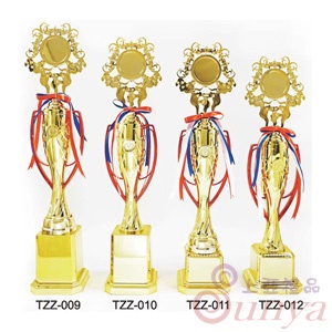 TZZ-010
