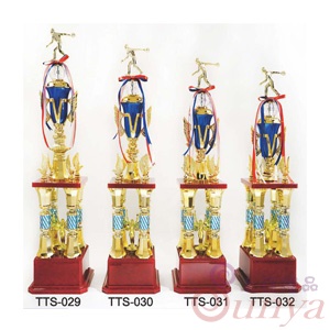 TTS-030