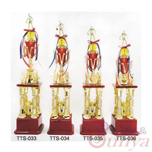 TTS-034