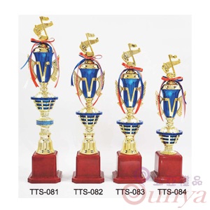 TTS-082