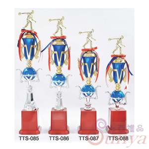 TTS-086