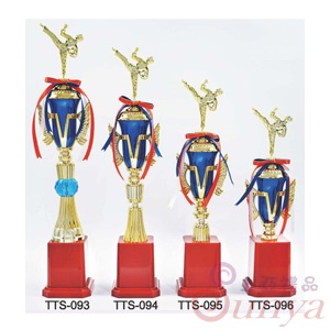 TTS-094