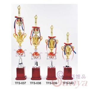 TFS-038