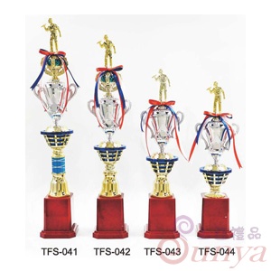 TFS-042
