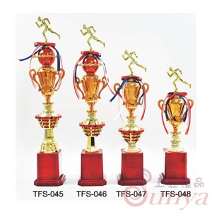 TFS-046