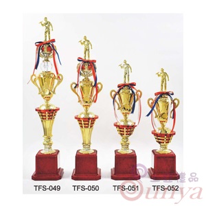 TFS-050