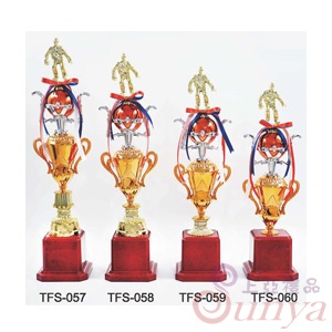 TFS-058