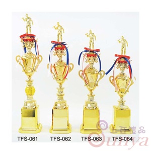 TFS-062