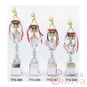 TFS-066