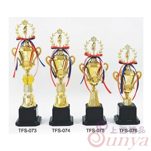 TFS-074