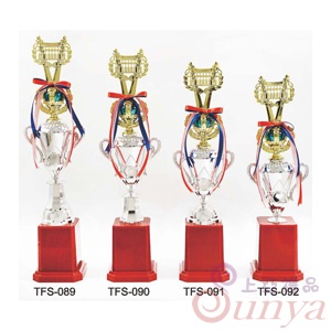 TFS-090