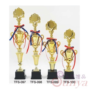 TFS-098