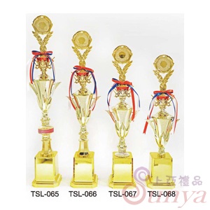 TSL-066