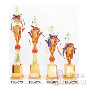 TSL-074