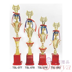 TSL-078