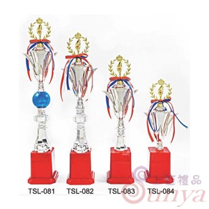 TSL-082