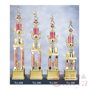 TLL-030