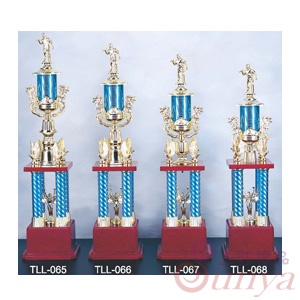 TLL-066