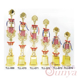 TLL-070