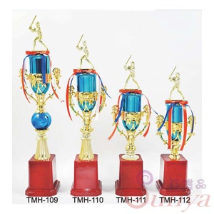 TMH-110