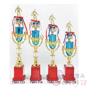 TMH-114