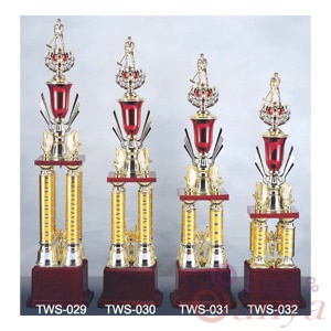 TWS-030