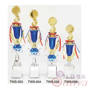TWS-054