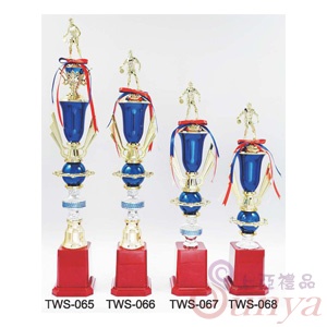 TWS-066