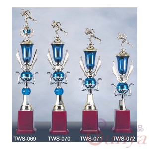 TWS-070