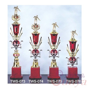 TWS-074