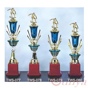 TWS-078