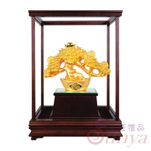 20A96-03琉金-搖錢樹