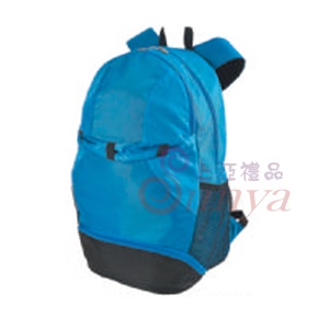 BBN2080球袋背包
