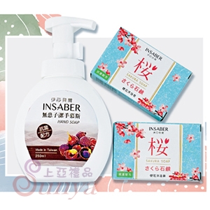 ES-0102M 無患子抗菌潔手慕斯250ml、香皂75g*2