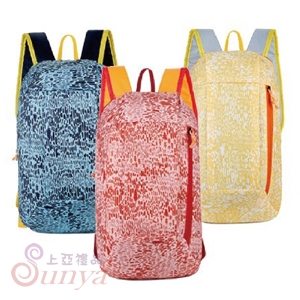 BAG-8768 輕巧休閒雙肩包