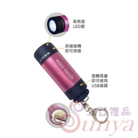 AK-06039迷你手電筒鎖圈