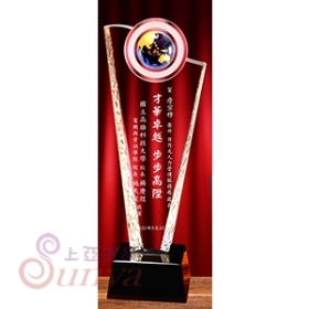 10*28.5cm