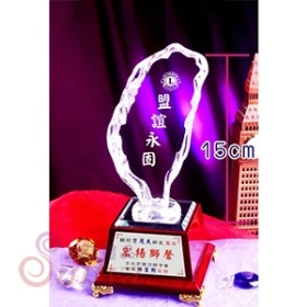 23cm