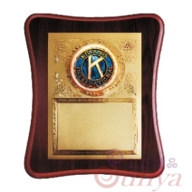 ST1006同濟會獎牌