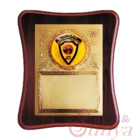 ST1007青商會獎牌