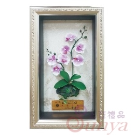 SAF001蘭花1